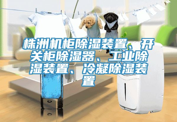 株洲機(jī)柜除濕裝置、開關(guān)柜除濕器、工業(yè)除濕裝置、冷凝除濕裝置