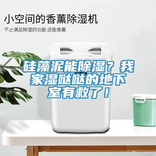 硅藻泥能除濕？我家濕噠噠的地下室有救了！