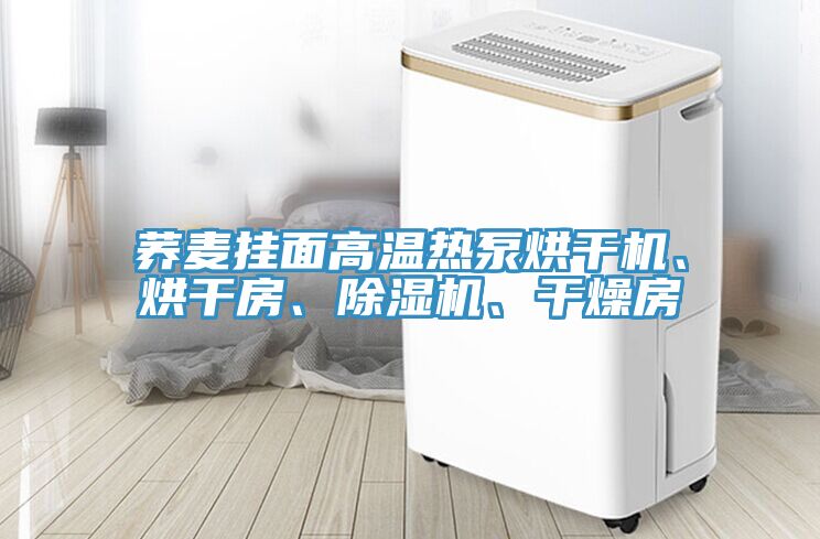 蕎麥掛面高溫熱泵烘干機、烘干房、除濕機、干燥房