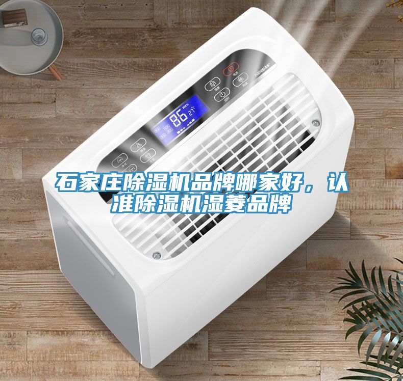 石家莊除濕機(jī)品牌哪家好，認(rèn)準(zhǔn)除濕機(jī)濕菱品牌