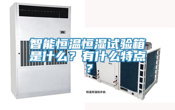 智能恒溫恒濕試驗箱是什么？有什么特點？