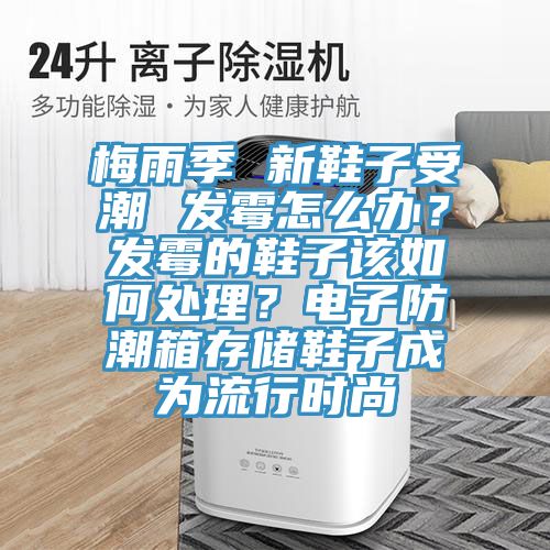 梅雨季 新鞋子受潮 發(fā)霉怎么辦？發(fā)霉的鞋子該如何處理？電子防潮箱存儲(chǔ)鞋子成為流行時(shí)尚
