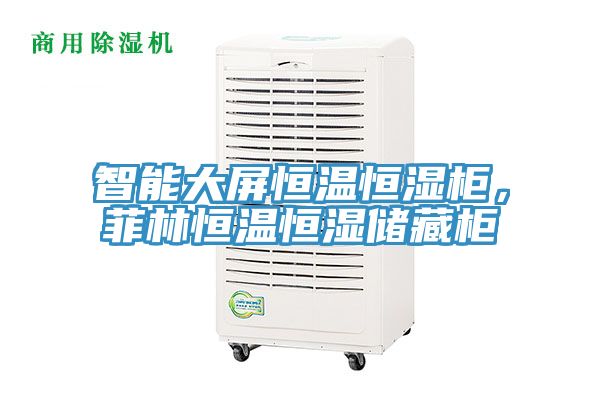 智能大屏恒溫恒濕柜，菲林恒溫恒濕儲(chǔ)藏柜