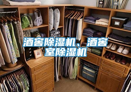 酒窖除濕機、酒窖室除濕機