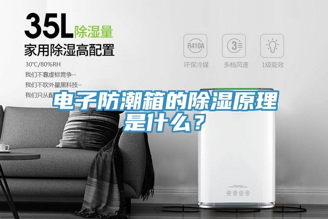 電子防潮箱的除濕原理是什么？