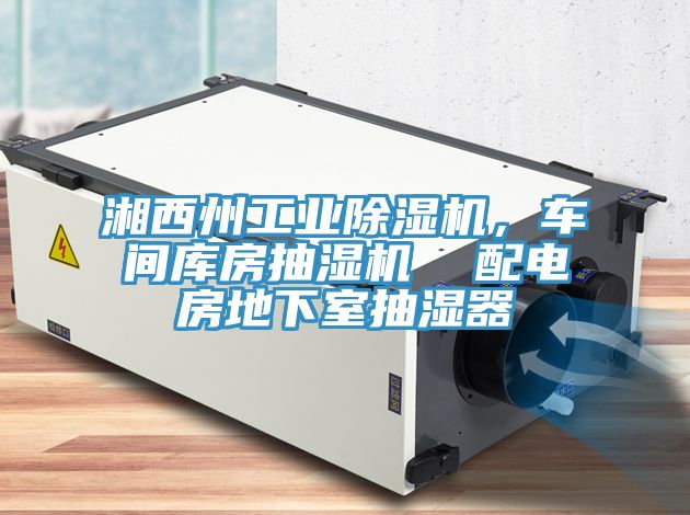 湘西州工業(yè)除濕機，車間庫房抽濕機  配電房地下室抽濕器