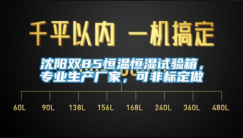 沈陽雙85恒溫恒濕試驗(yàn)箱，專業(yè)生產(chǎn)廠家，可非標(biāo)定做