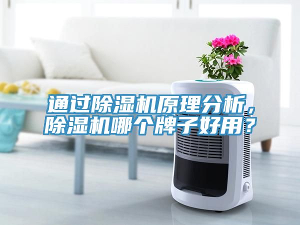 通過除濕機原理分析，除濕機哪個牌子好用？