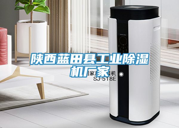 陜西藍(lán)田縣工業(yè)除濕機廠家