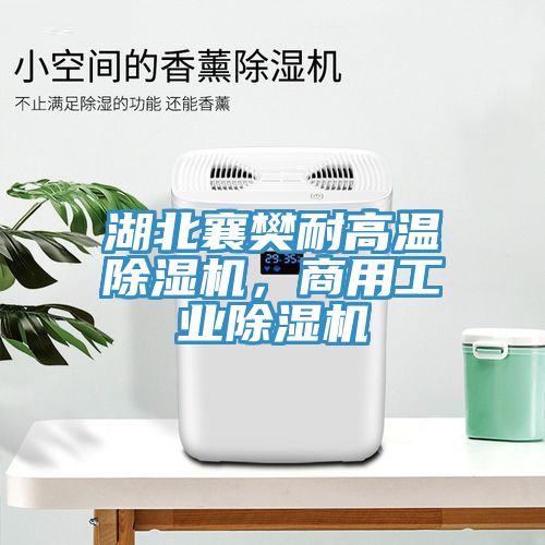 湖北襄樊耐高溫除濕機(jī)，商用工業(yè)除濕機(jī)