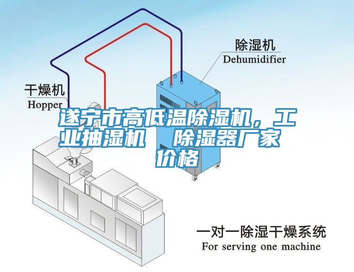 遂寧市高低溫除濕機(jī)，工業(yè)抽濕機(jī)  除濕器廠家 價格