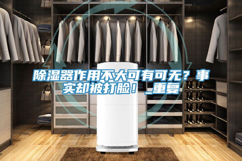 除濕器作用不大可有可無(wú)？事實(shí)卻被打臉！_重復(fù)
