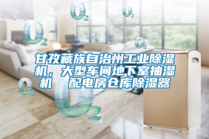 甘孜藏族自治州工業(yè)除濕機(jī)，大型車間地下室抽濕機(jī)  配電房倉庫除濕器