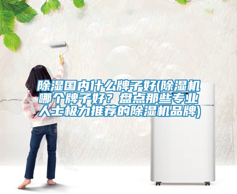 除濕國(guó)內(nèi)什么牌子好(除濕機(jī)哪個(gè)牌子好？盤點(diǎn)那些專業(yè)人士極力推薦的除濕機(jī)品牌)