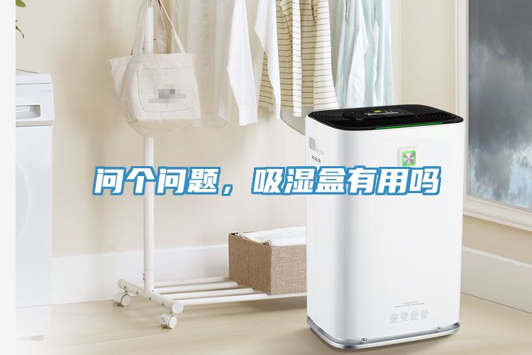 問個問題，吸濕盒有用嗎