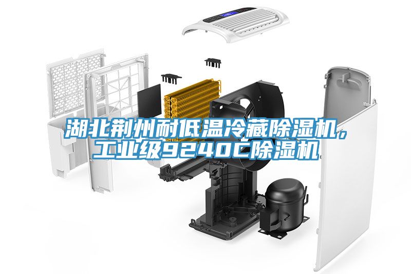湖北荊州耐低溫冷藏除濕機(jī)，工業(yè)級(jí)9240C除濕機(jī)