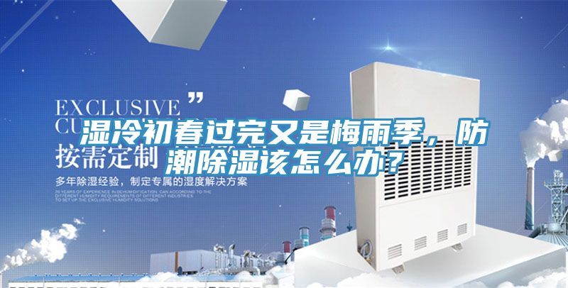 濕冷初春過完又是梅雨季，防潮除濕該怎么辦？