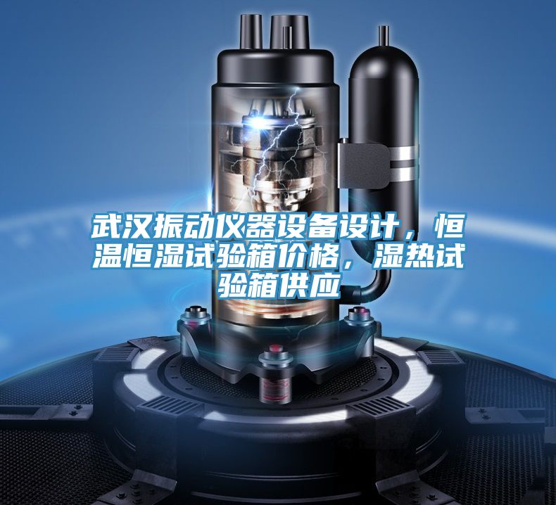 武漢振動(dòng)儀器設(shè)備設(shè)計(jì)，恒溫恒濕試驗(yàn)箱價(jià)格，濕熱試驗(yàn)箱供應(yīng)
