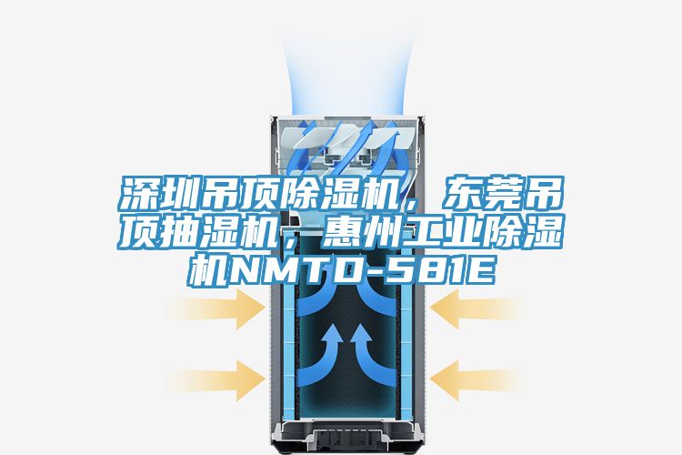 深圳吊頂除濕機，東莞吊頂抽濕機，惠州工業(yè)除濕機NMTD-581E