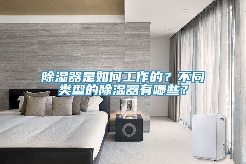 除濕器是如何工作的？不同類型的除濕器有哪些？