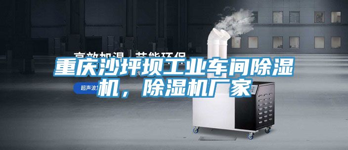 重慶沙坪壩工業(yè)車間除濕機，除濕機廠家