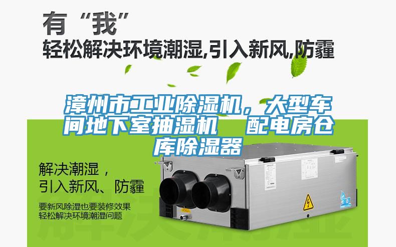 漳州市工業(yè)除濕機(jī)，大型車間地下室抽濕機(jī)  配電房倉(cāng)庫(kù)除濕器