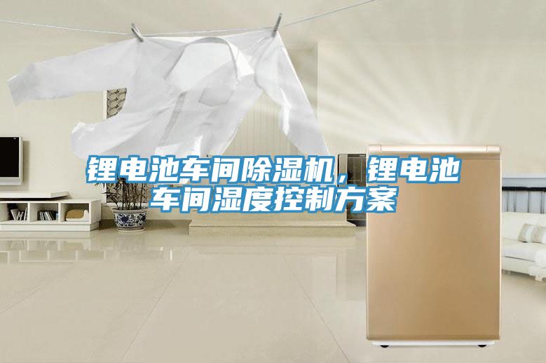 鋰電池車間除濕機(jī)，鋰電池車間濕度控制方案