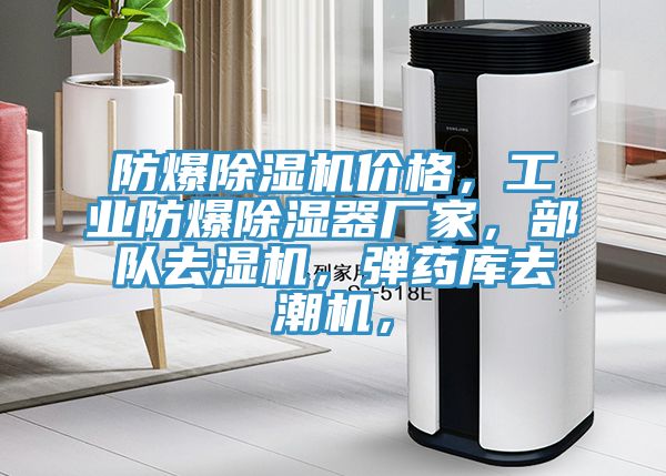 防爆除濕機(jī)價(jià)格，工業(yè)防爆除濕器廠家，部隊(duì)去濕機(jī)，彈藥庫(kù)去潮機(jī)，