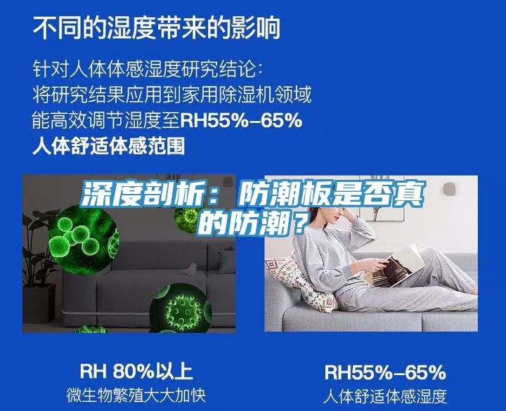 深度剖析：防潮板是否真的防潮？