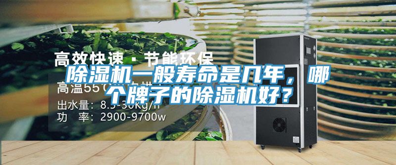 除濕機(jī)一般壽命是幾年，哪個(gè)牌子的除濕機(jī)好？