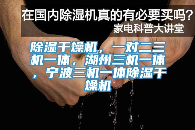 除濕干燥機，一對二三機一體，湖州三機一體，寧波三機一體除濕干燥機