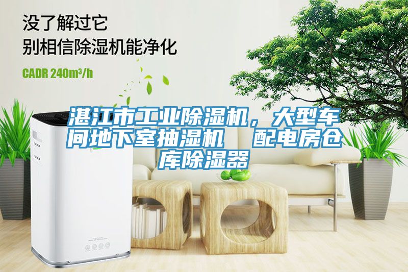 湛江市工業(yè)除濕機，大型車間地下室抽濕機  配電房倉庫除濕器