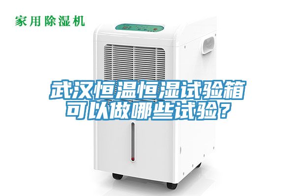 武漢恒溫恒濕試驗箱可以做哪些試驗？