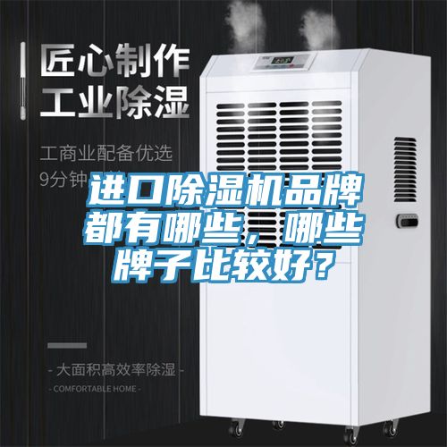 進口除濕機品牌都有哪些，哪些牌子比較好？