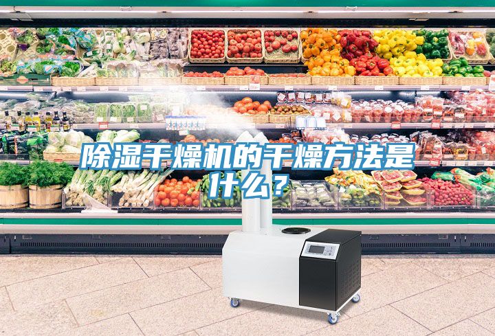 除濕干燥機(jī)的干燥方法是什么？