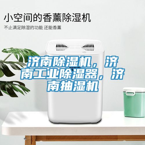 濟(jì)南除濕機(jī)，濟(jì)南工業(yè)除濕器，濟(jì)南抽濕機(jī)