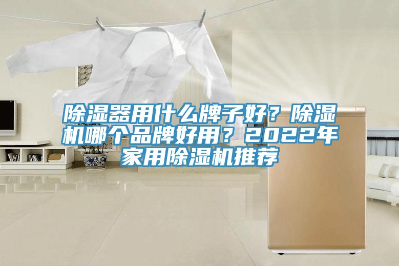 除濕器用什么牌子好？除濕機(jī)哪個(gè)品牌好用？2022年家用除濕機(jī)推薦