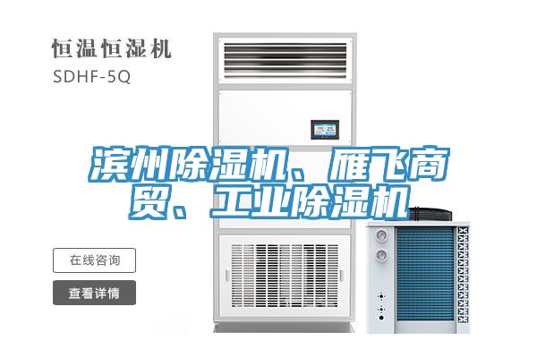 濱州除濕機、雁飛商貿(mào)、工業(yè)除濕機