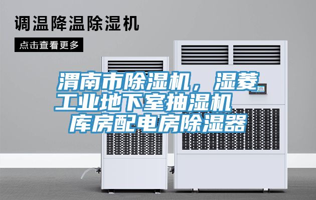 渭南市除濕機(jī)，濕菱工業(yè)地下室抽濕機(jī)  庫房配電房除濕器