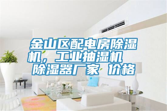 金山區(qū)配電房除濕機(jī)，工業(yè)抽濕機(jī)  除濕器廠家 價(jià)格