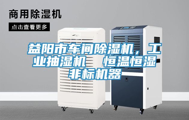 益陽(yáng)市車(chē)間除濕機(jī)，工業(yè)抽濕機(jī)  恒溫恒濕非標(biāo)機(jī)器