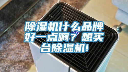 除濕機(jī)什么品牌好一點(diǎn)啊？想買臺除濕機(jī)!
