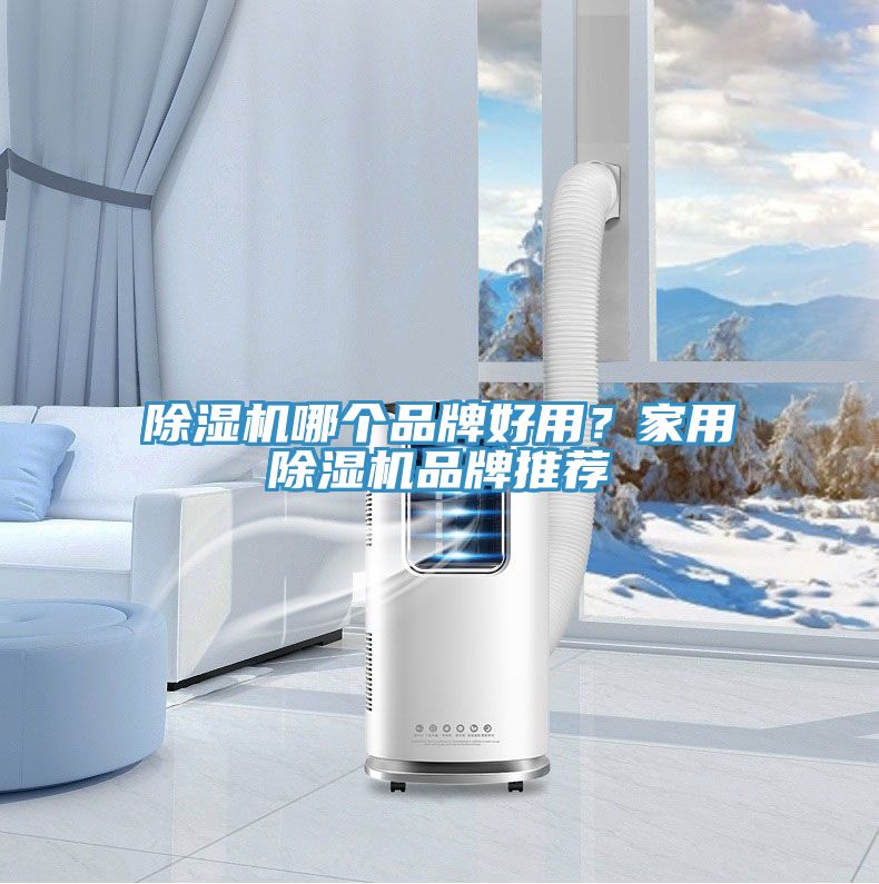除濕機(jī)哪個(gè)品牌好用？家用除濕機(jī)品牌推薦