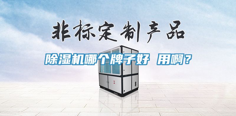 除濕機哪個牌子好 用??？