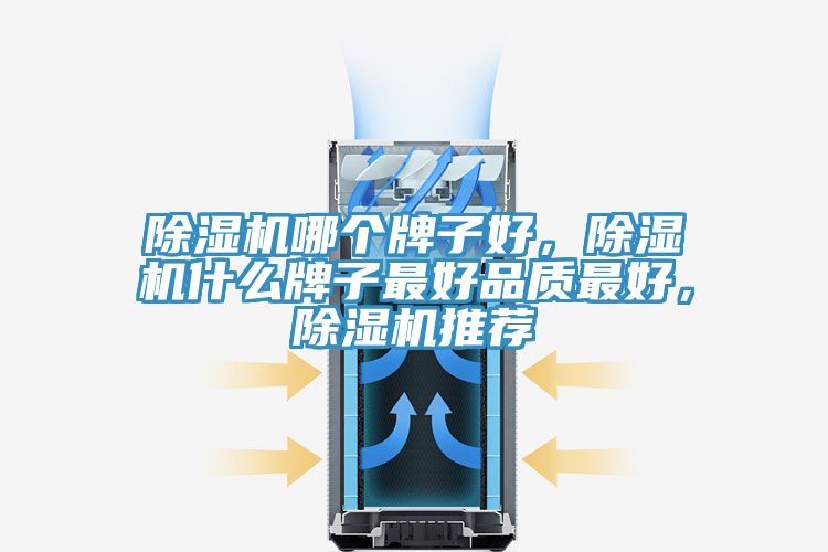 除濕機(jī)哪個牌子好，除濕機(jī)什么牌子最好品質(zhì)最好，除濕機(jī)推薦