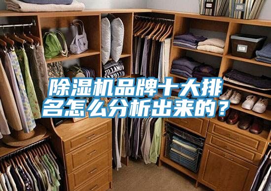 除濕機(jī)品牌十大排名怎么分析出來的？