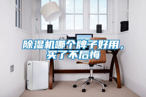 除濕機(jī)哪個牌子好用，買了不后悔