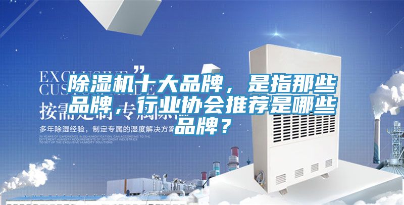 除濕機(jī)十大品牌，是指那些品牌，行業(yè)協(xié)會(huì)推薦是哪些品牌？