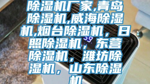 除濕機廠家,青島除濕機,威海除濕機,煙臺除濕機，日照除濕機，東營除濕機，濰坊除濕機，山東除濕機