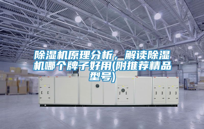除濕機(jī)原理分析，解讀除濕機(jī)哪個(gè)牌子好用(附推薦精品型號)